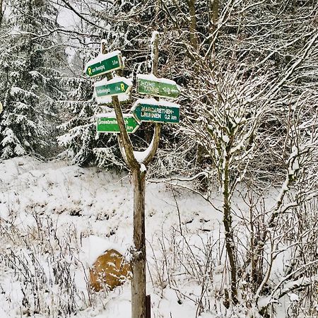 Gaestehaus Hohetanne1 Grossbreitenbach Buitenkant foto
