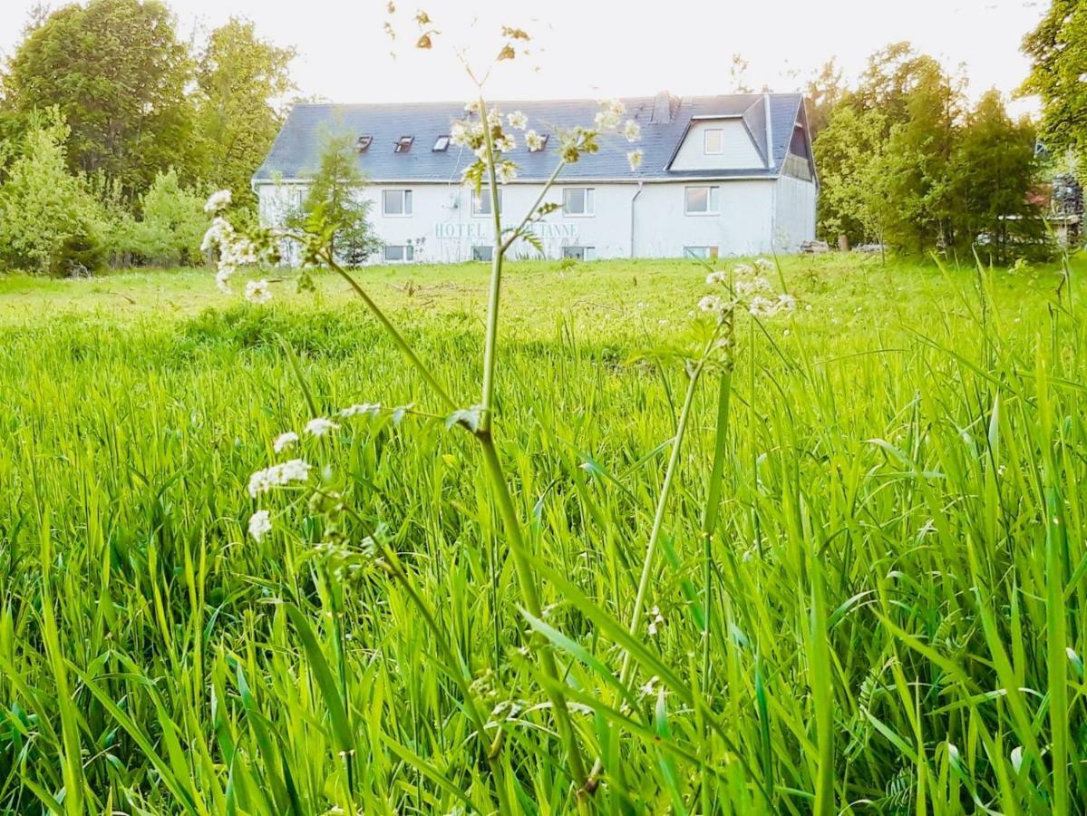 Gaestehaus Hohetanne1 Grossbreitenbach Buitenkant foto