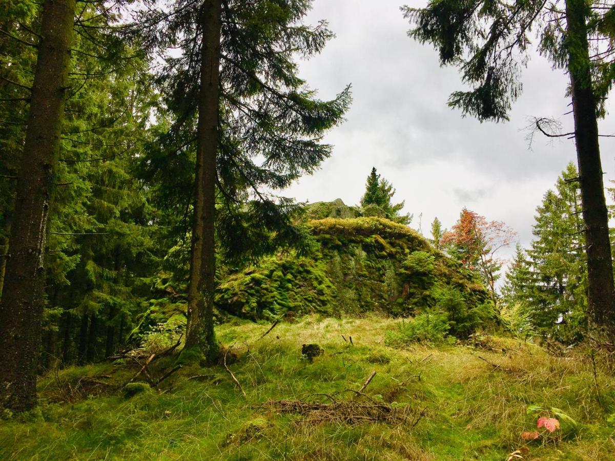 Gaestehaus Hohetanne1 Grossbreitenbach Buitenkant foto