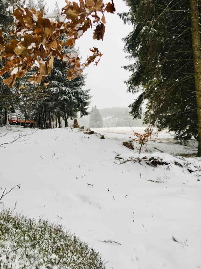 Gaestehaus Hohetanne1 Grossbreitenbach Buitenkant foto